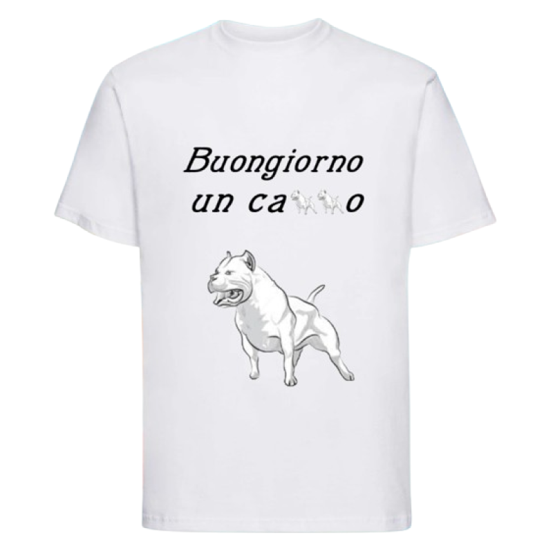 Maglietta: buon giorno un ca**o