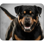 Tappetino mouse: Rottweiler